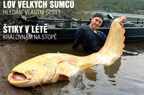 Snímek obrazovky 2026-08-04 110039.png